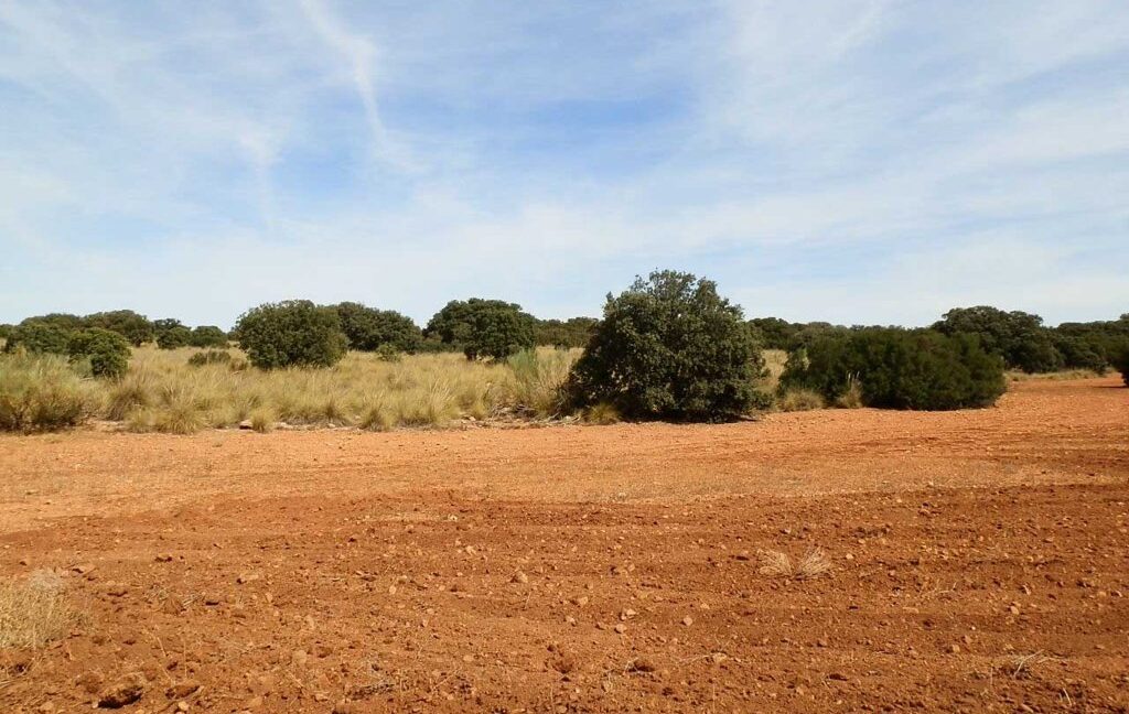 678_fincas-en-venta-061
