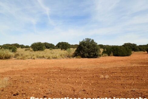 678_fincas-en-venta-061