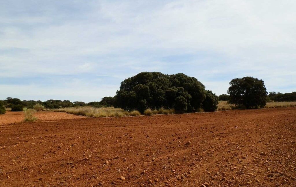 678_fincas-en-venta-062