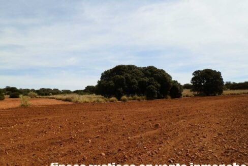 678_fincas-en-venta-062