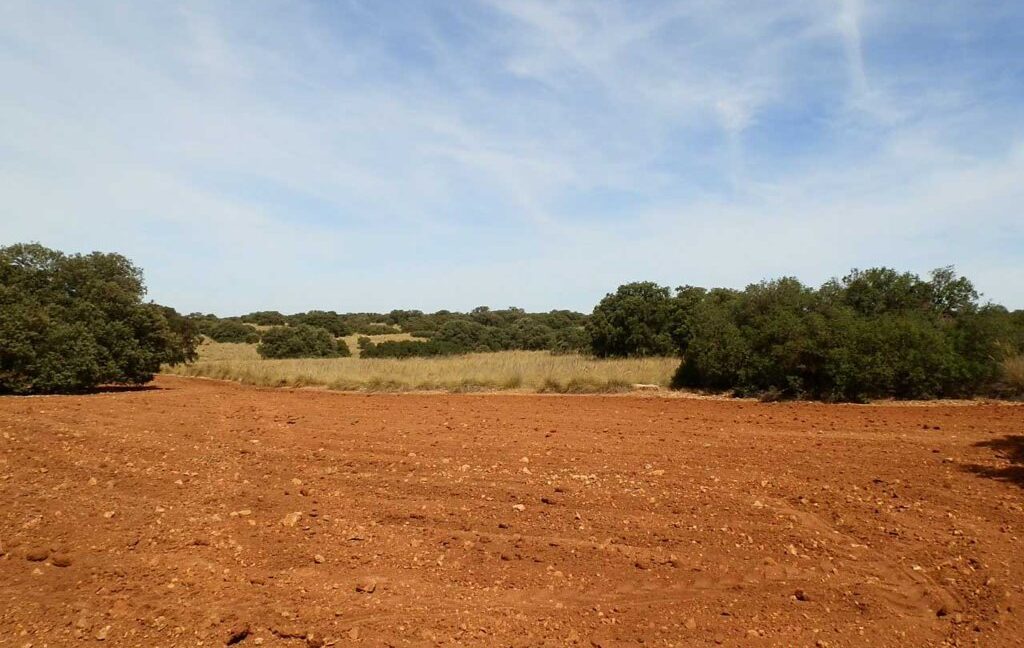 678_fincas-en-venta-063