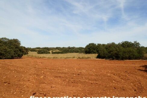 678_fincas-en-venta-063