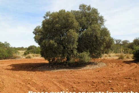 678_fincas-en-venta-064