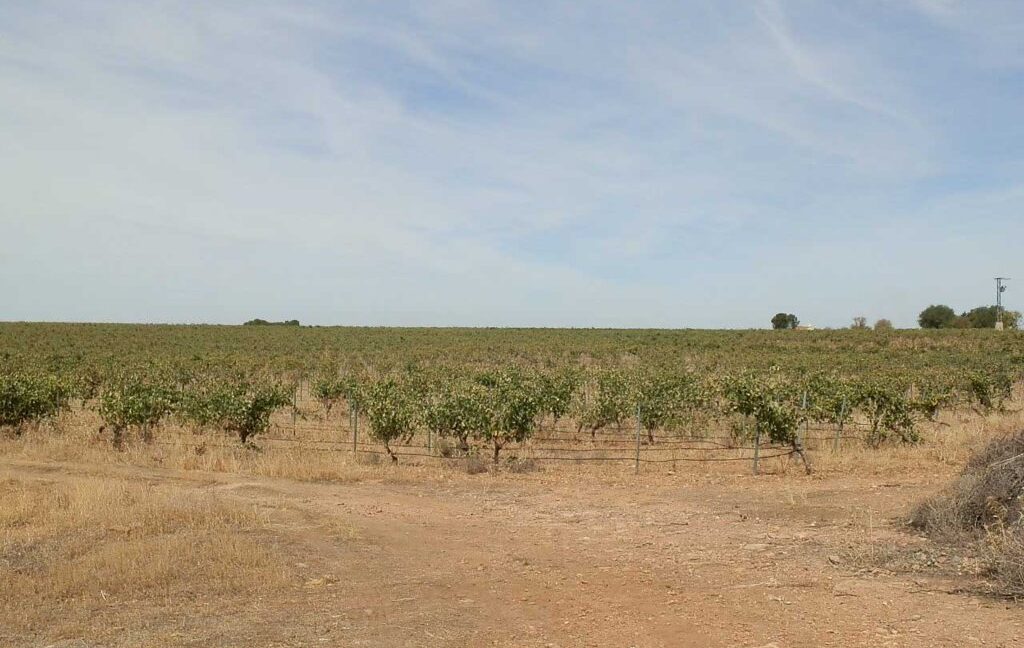 678_fincas-en-venta-073