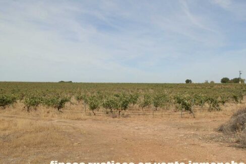678_fincas-en-venta-073