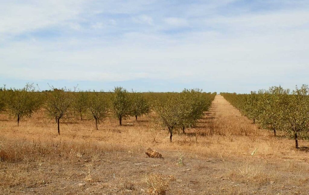 678_fincas-en-venta-074