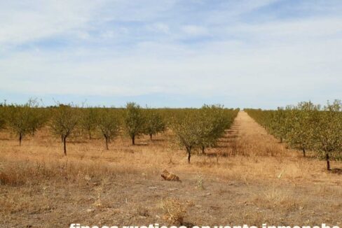 678_fincas-en-venta-074