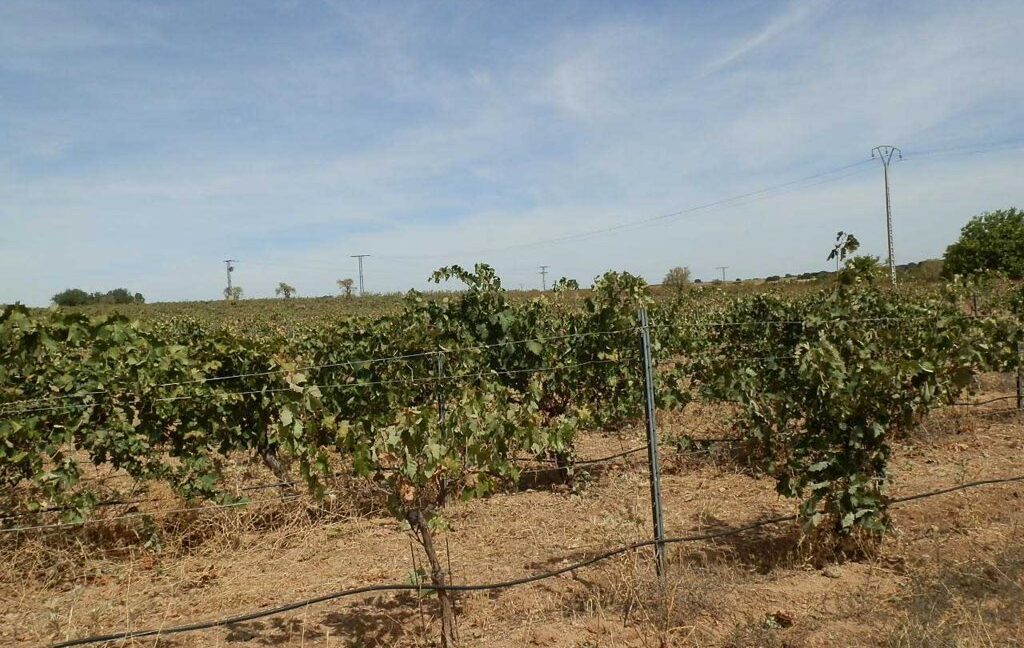 678_fincas-en-venta-075