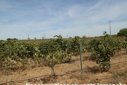 678_fincas-en-venta-075
