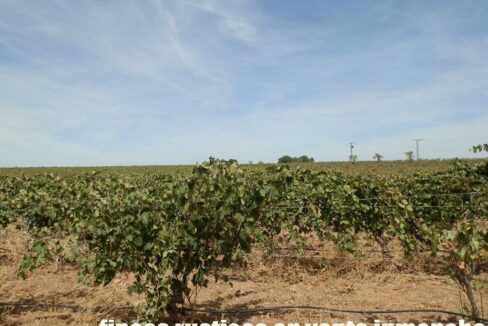 678_fincas-en-venta-076