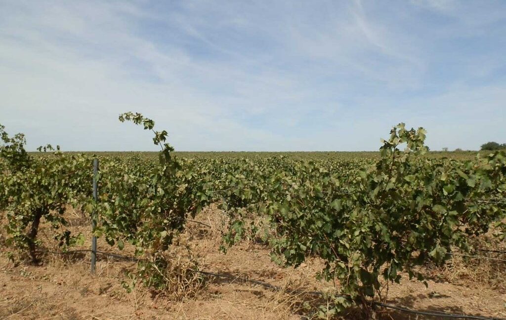 678_fincas-en-venta-077