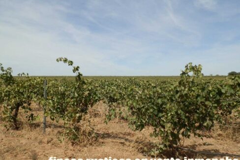 678_fincas-en-venta-077