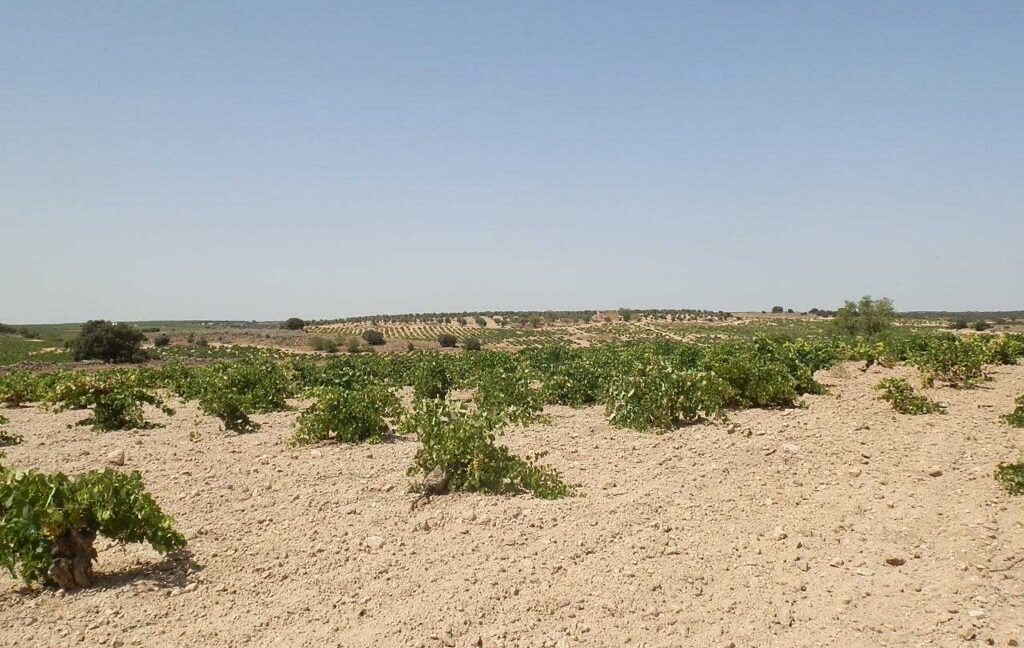 679_fincas-en-venta-002