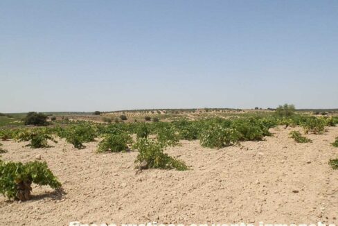 679_fincas-en-venta-002