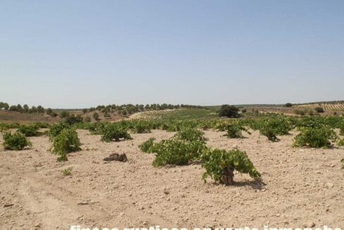 679_fincas-en-venta-003