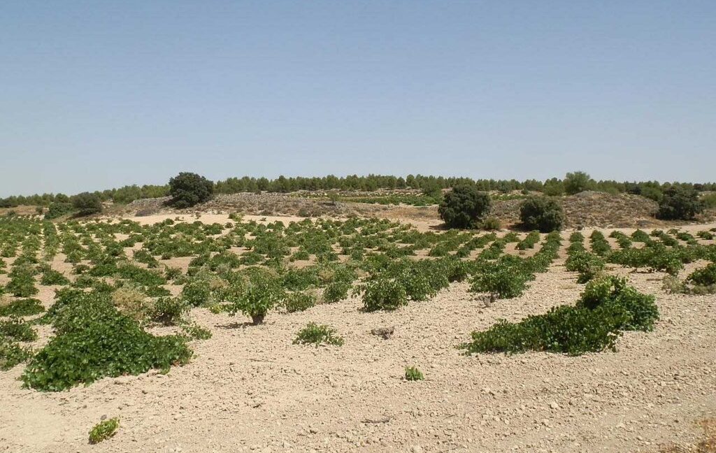 679_fincas-en-venta-006