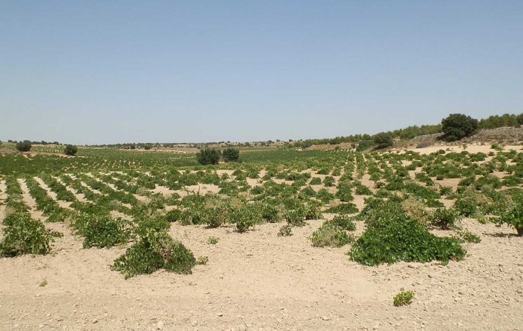 679_fincas-en-venta-007