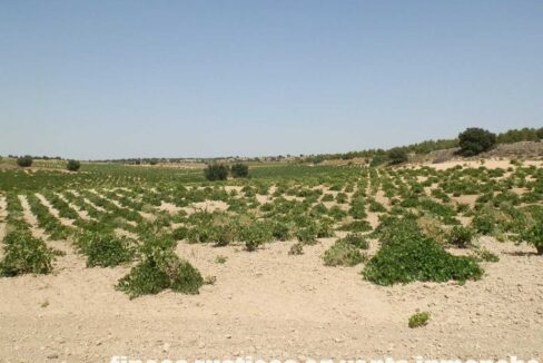 679_fincas-en-venta-007