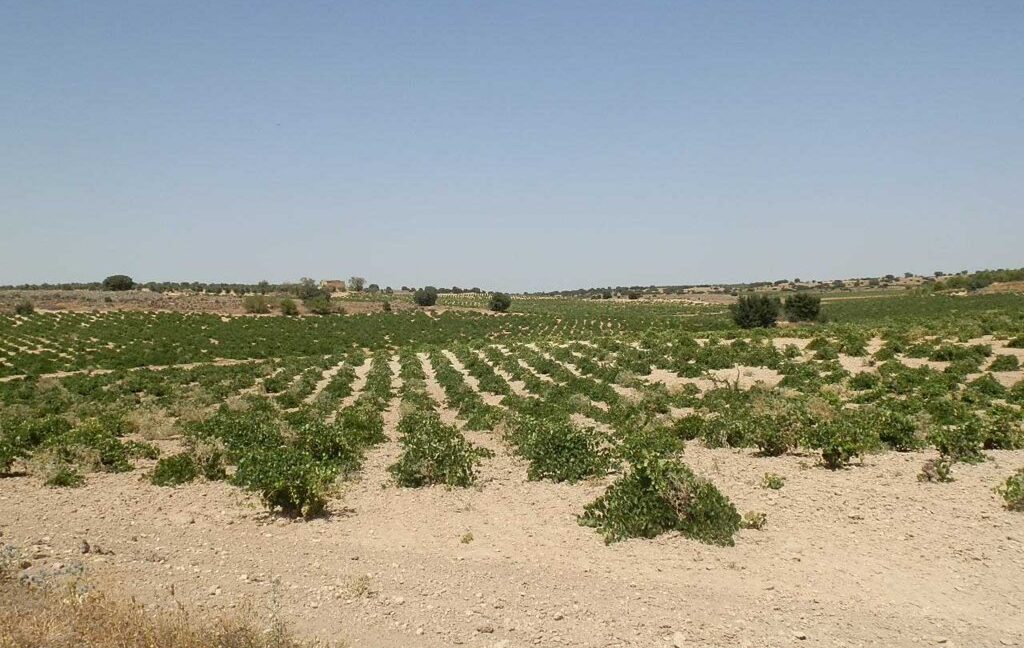 679_fincas-en-venta-008