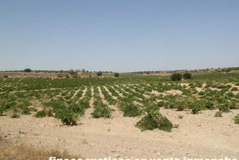 679_fincas-en-venta-008