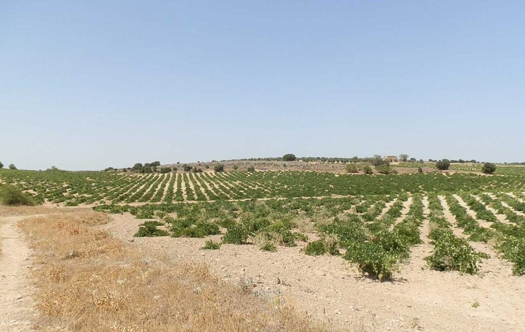 679_fincas-en-venta-009