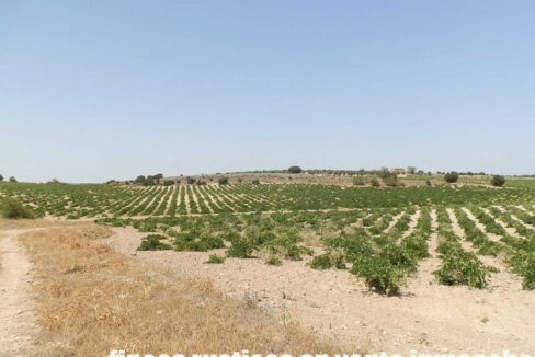 679_fincas-en-venta-009