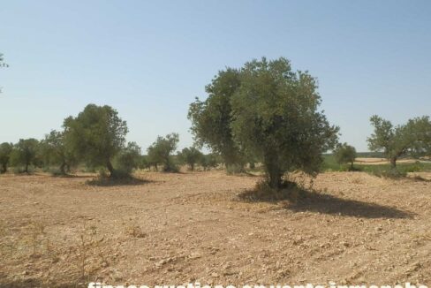 679_fincas-en-venta-021
