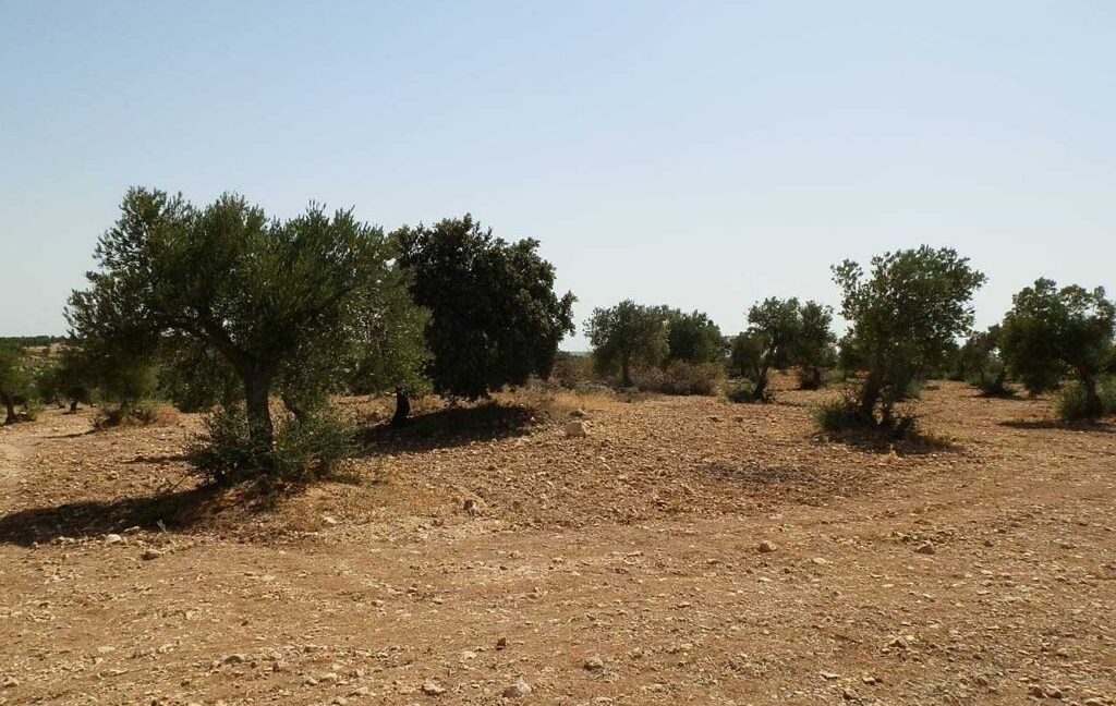 679_fincas-en-venta-022