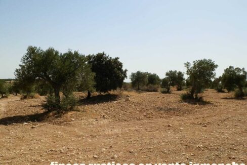 679_fincas-en-venta-022