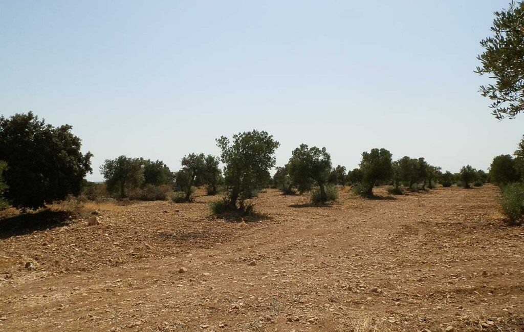 679_fincas-en-venta-023