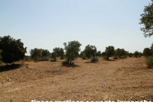 679_fincas-en-venta-023