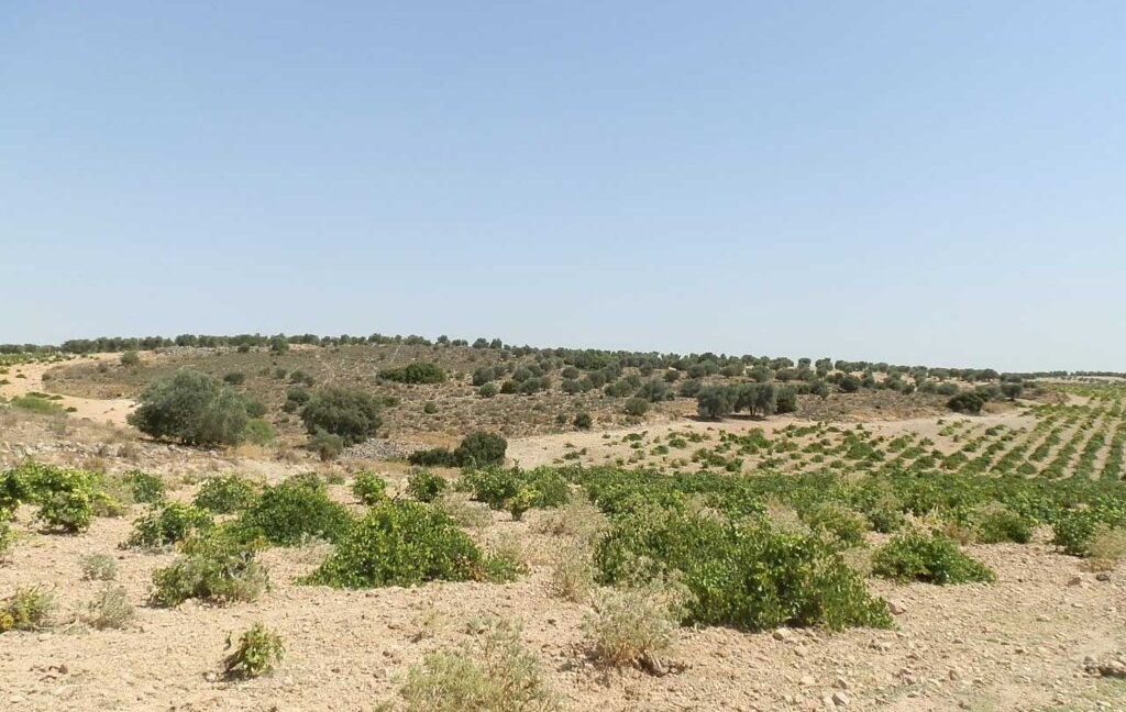 679_fincas-en-venta-027