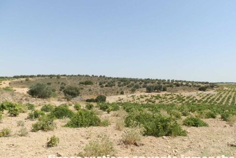679_fincas-en-venta-027