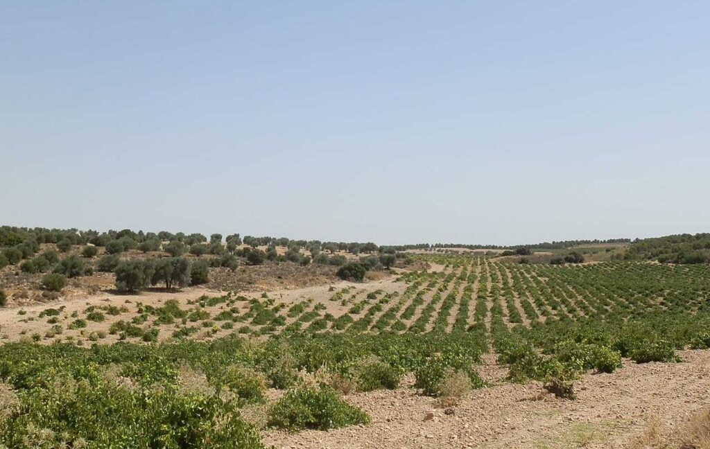 679_fincas-en-venta-028