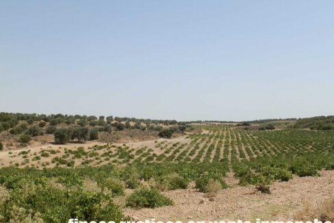 679_fincas-en-venta-028