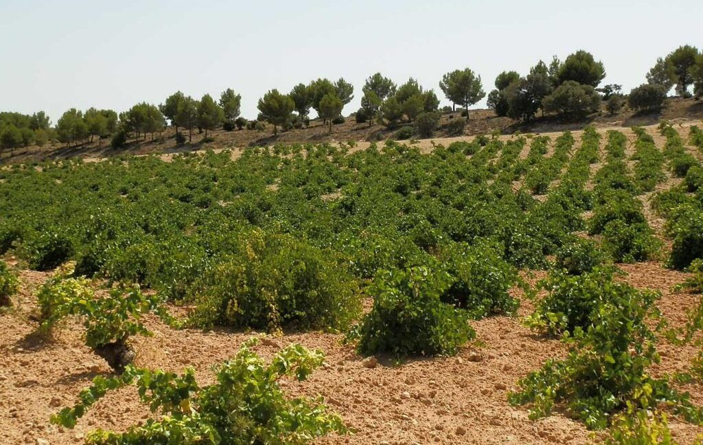 679_fincas-en-venta-030
