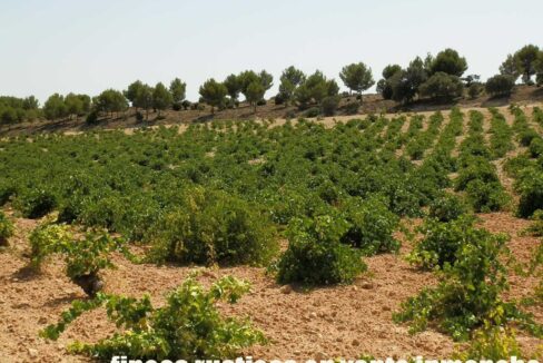 679_fincas-en-venta-030