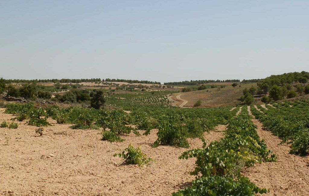 679_fincas-en-venta-031