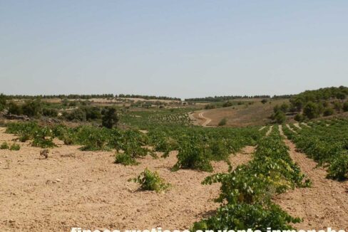 679_fincas-en-venta-031