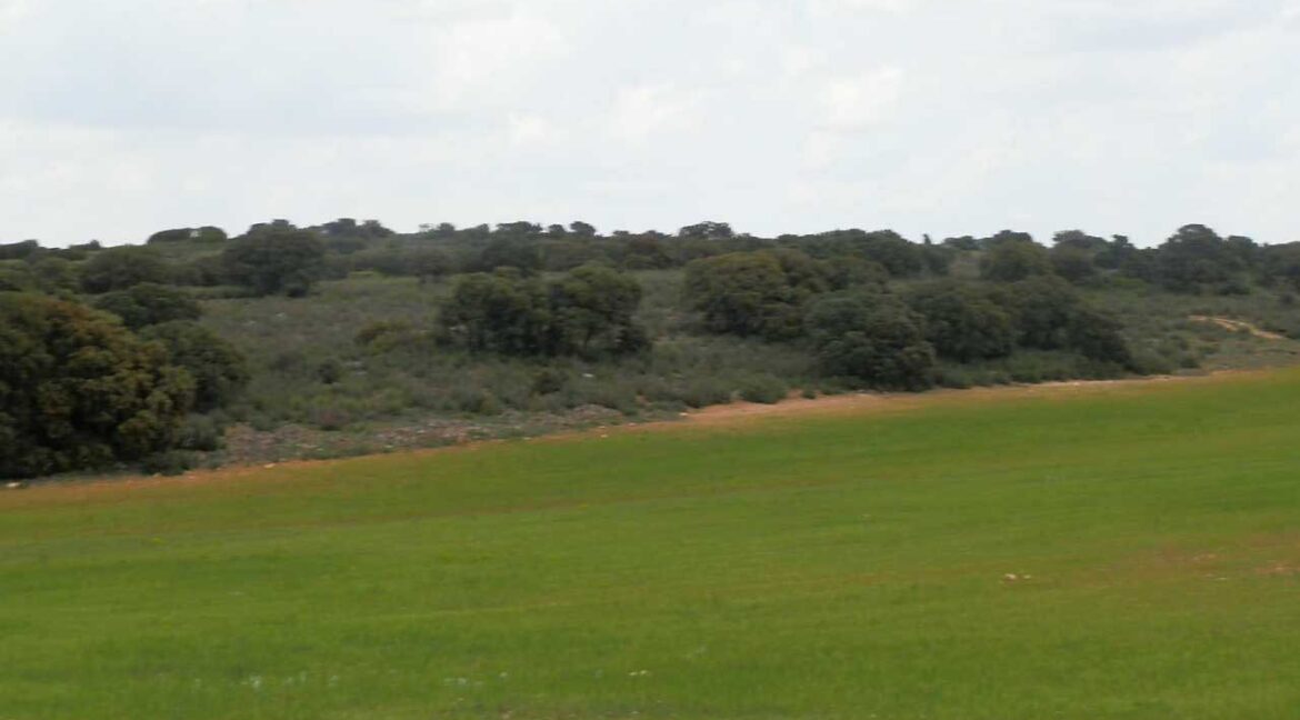 680_fincas-en-venta-04