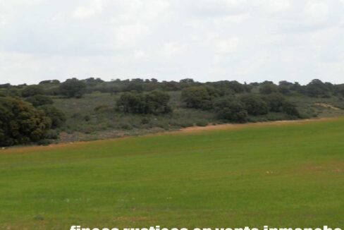 680_fincas-en-venta-04