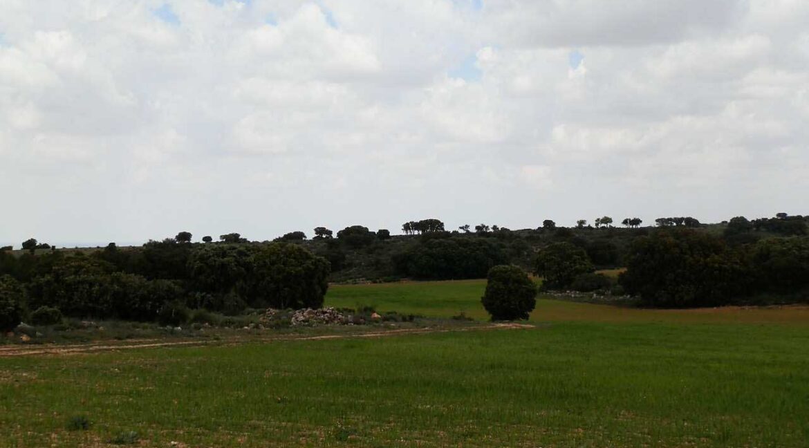 680_fincas-en-venta-06