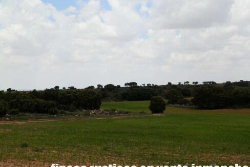 680_fincas-en-venta-06