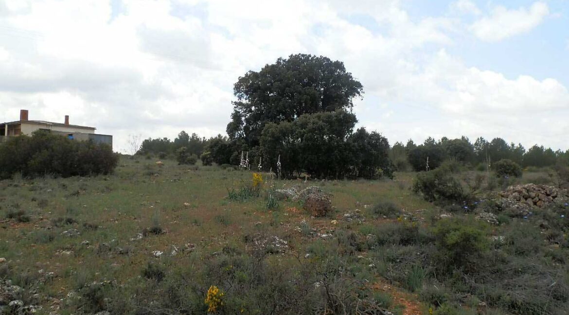 680_fincas-en-venta-07