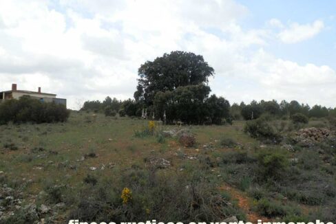 680_fincas-en-venta-07
