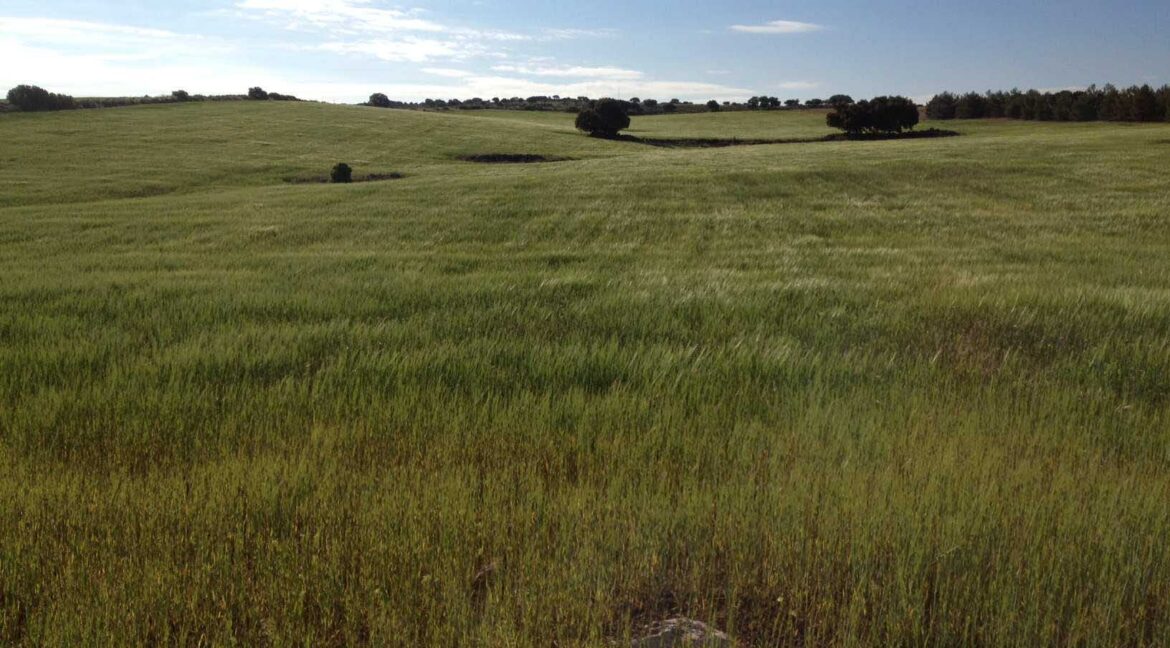 680_fincas-en-venta-1