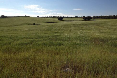 680_fincas-en-venta-1