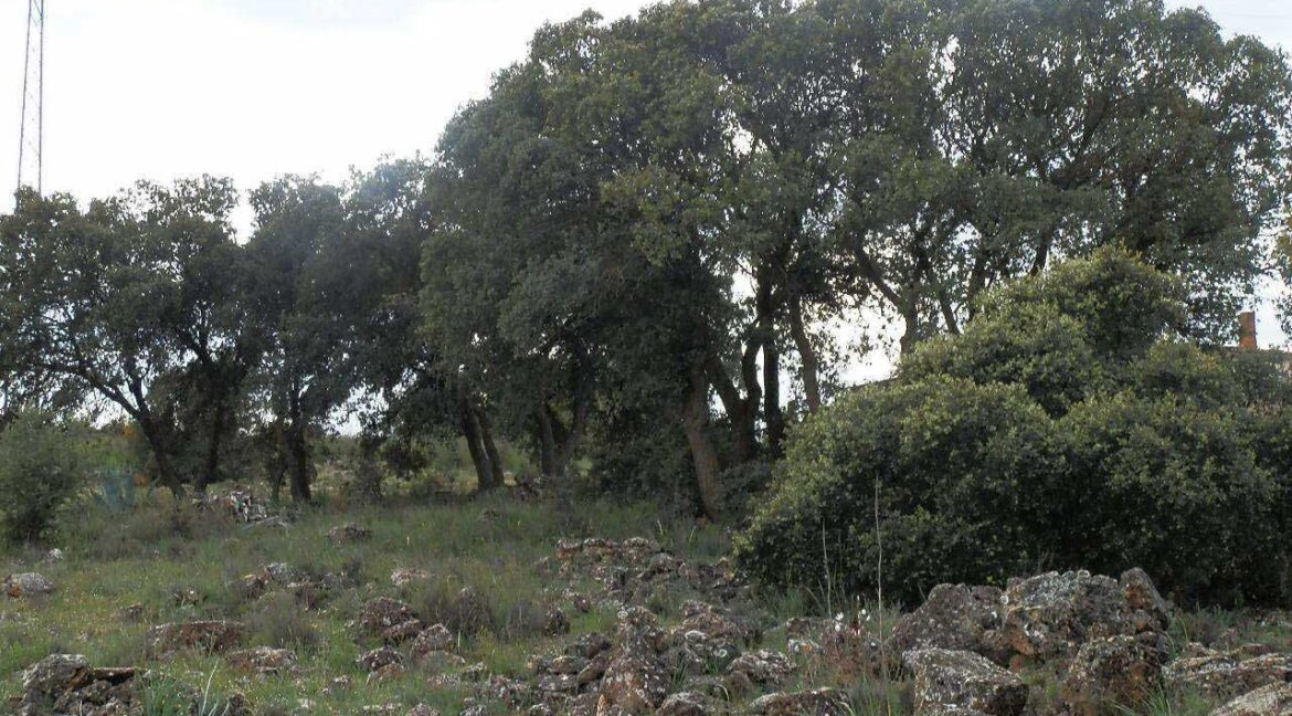 680_fincas-en-venta-10
