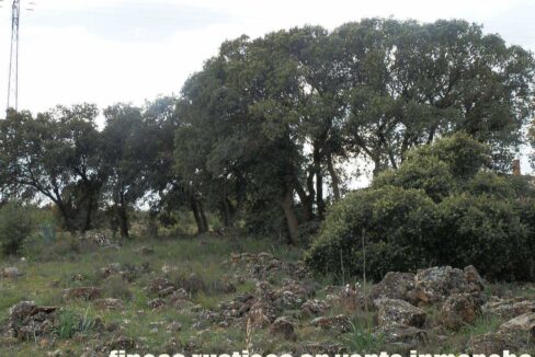 680_fincas-en-venta-10