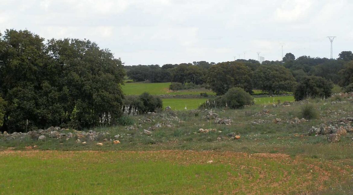 680_fincas-en-venta-11